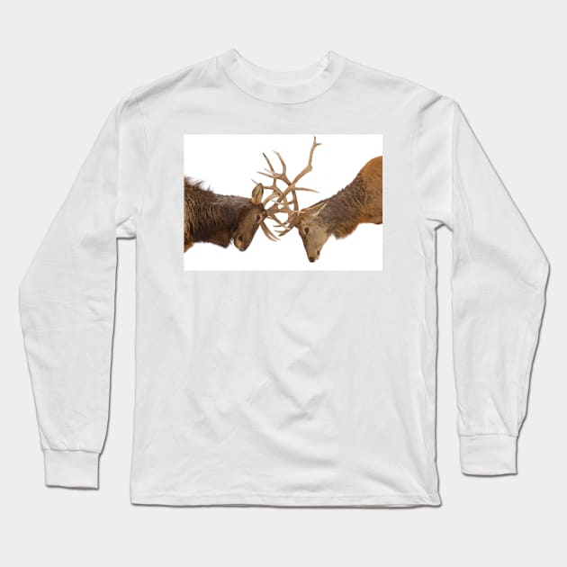 Elk Fight Long Sleeve T-Shirt by Jim Cumming